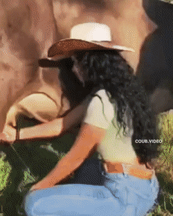 dirty minds only 32 gifs 3.html - 1 HD GIF | Premium Gallery 2021