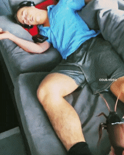 dirty minds only 32 gifs 3.html - 1 HD GIF | Premium Gallery 2021