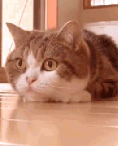 dirty minds only 32 gifs 3.html - 1 HD GIF | Premium Gallery 2021