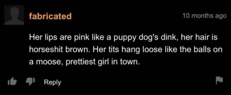 “PornHub” Comments Are Very Special…