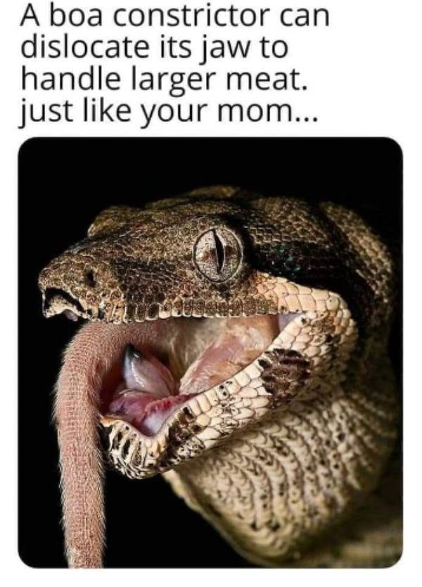 2022 Is Off To A NSFW Start!