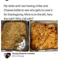 look a dolphin video.html - 1 HD Video | Premium Gallery 2022