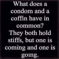 wow whats that video.html - 1 HD Video | Premium Gallery 2022