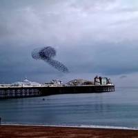 inked sexy 51 pics.html - 51 HD Photos | Premium Gallery 2022