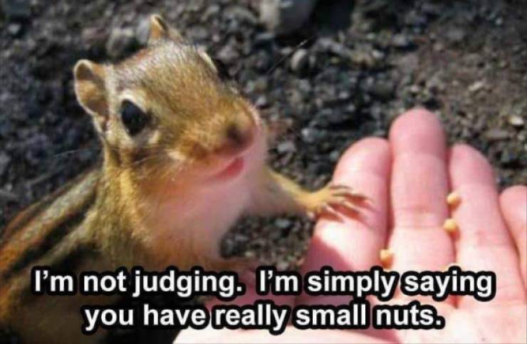 how dirty is your mind 60 pics 9.html - 60 HD Photos | Premium Gallery 2022