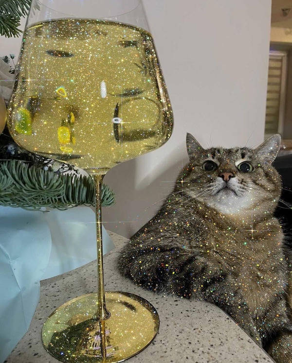 They Are Way Too Drunk…