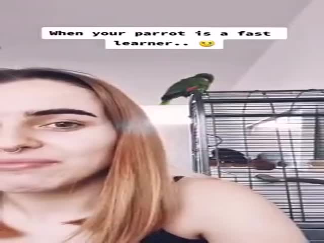 Caught Red-Handed