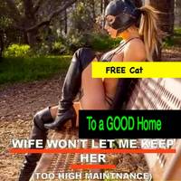 grownup corner 67 pics.html - 67 HD Photos | Premium Gallery 2022