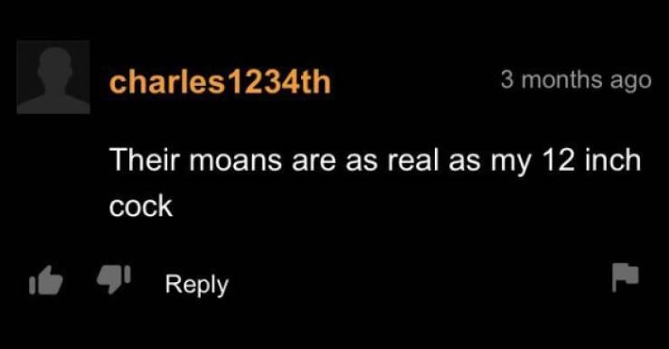 “Pornhub” Comment Section… Enough Said…