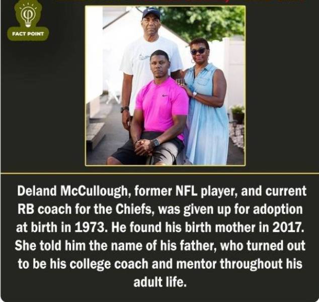 Fascinating Facts About Everything!