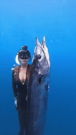 hot girls are here for you 46 gifs 6.html - 1 HD GIF | Premium Gallery 2022