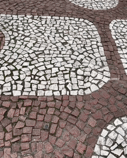 dirty minds only 42 gifs 2.html - 1 HD GIF | Premium Gallery 2022