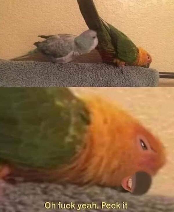 dirty minds assemble 70 pics 7.html - 70 HD Photos | Premium Gallery 2022