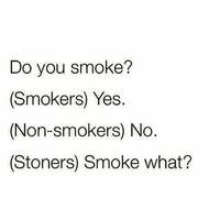 ivana knoll at world cup 2022 38 pics.html - 38 HD Photos | Premium Gallery 2022