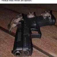 these se%C3%B1oritas are muy caliente video.html - 1 HD Video | Premium Gallery 2022