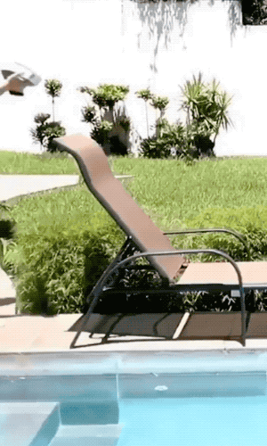 Drinking Never Stops…