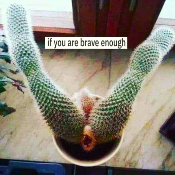 Dirty Minds, Rejoice!