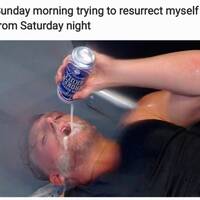 welcome to the memehub 53 pics 1 gif.html - 53 HD GIF | Premium Gallery 2023