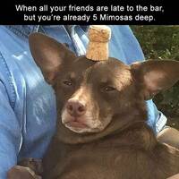 the ultimate collection of memes for real men 32 pics.html - 32 HD Photos | Premium Gallery 2023