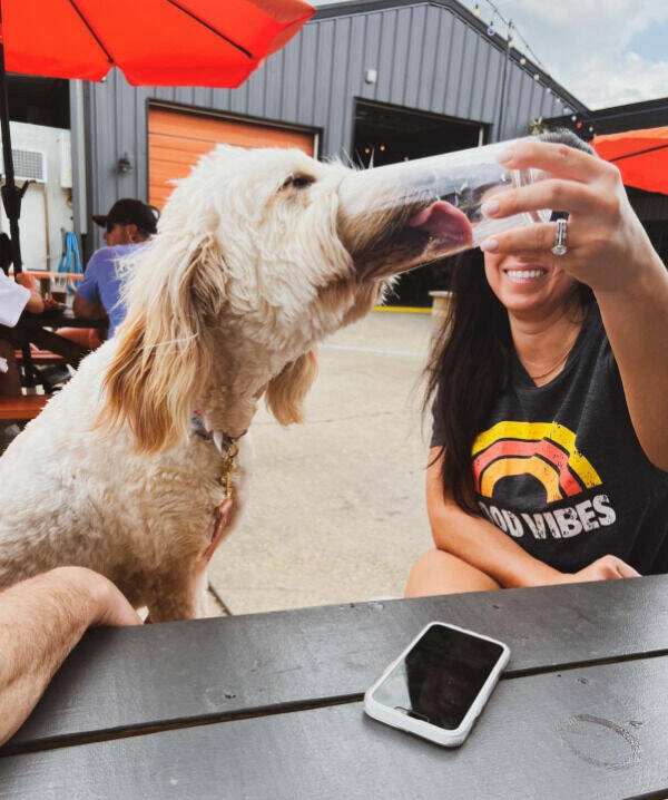 Cheers, Everyone!