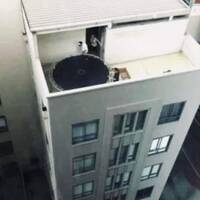 great stairs video.html - 1 HD Video | Premium Gallery 2022