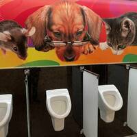 bad girls with good jokes 15 pics.html - 15 HD Photos | Premium Gallery 2023