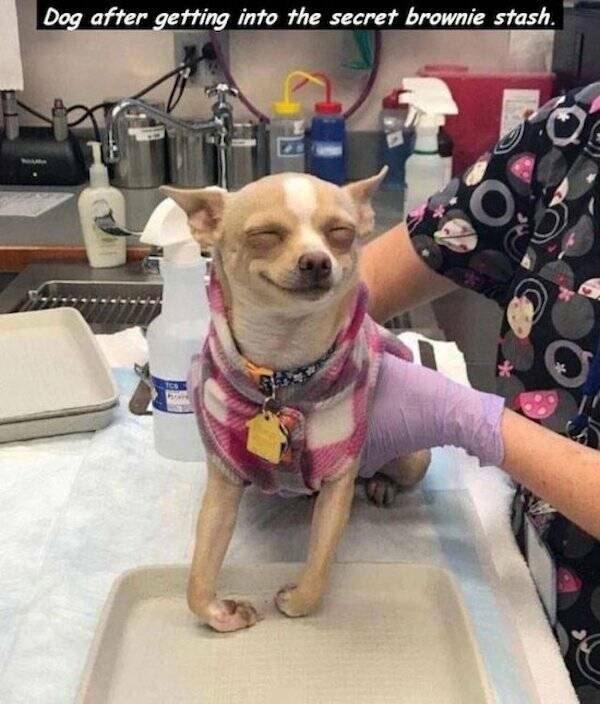 All The Dirty Mind Goodness!