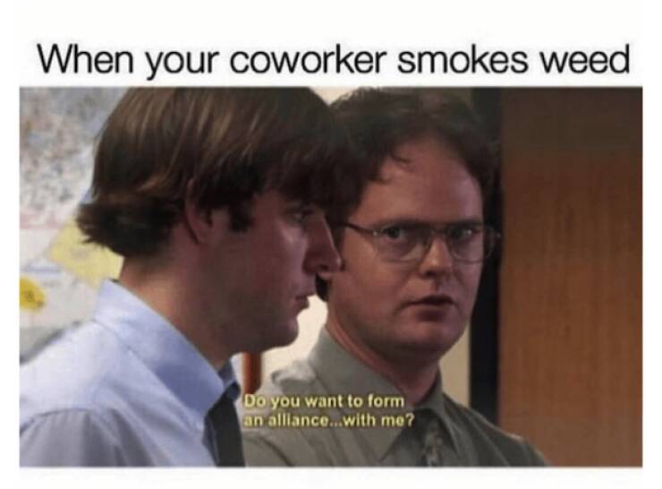 These Memes Are Higher Than The Sky…