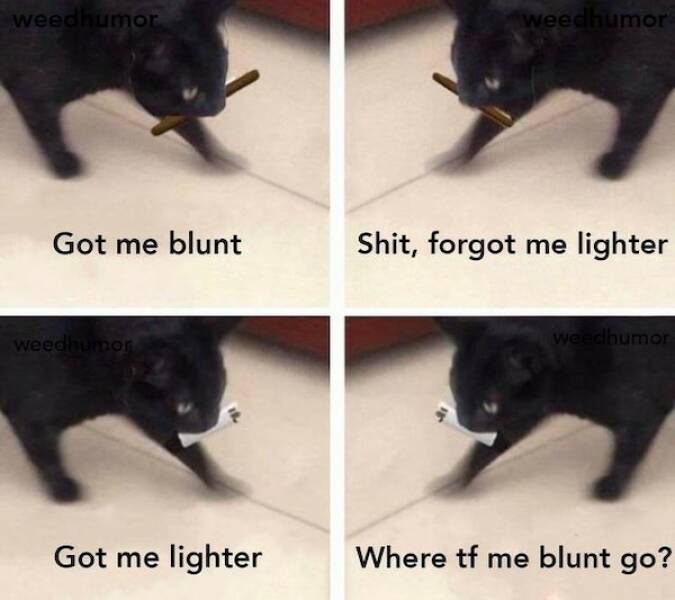 These Memes Are Higher Than The Sky…