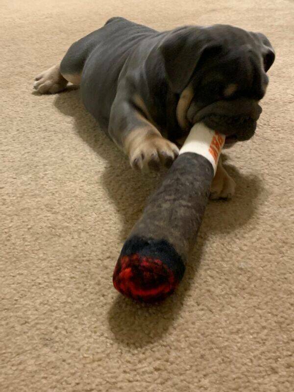 These Memes Are Higher Than The Sky…