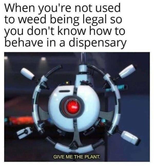 These Memes Are Higher Than The Sky…