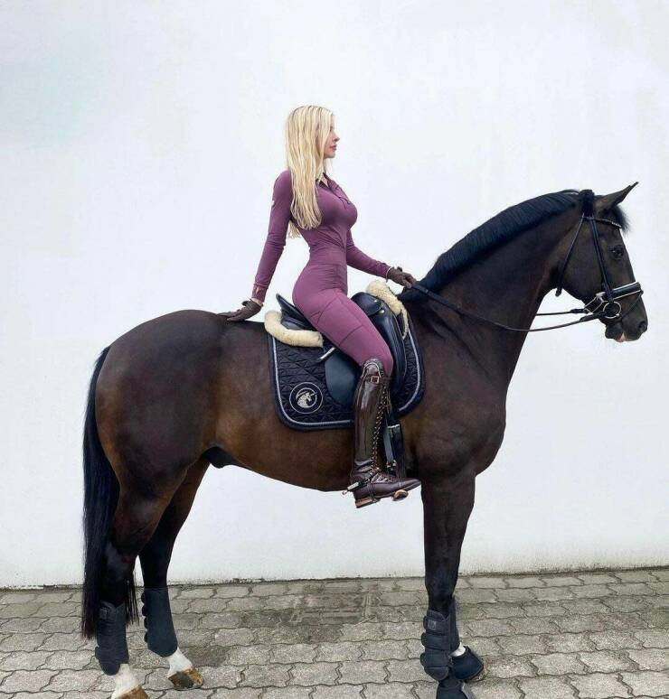 grownup corner 59 pics 23.html - 59 HD Photos | Premium Gallery 2022