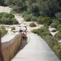 someone lost the wheel video.html - 1 HD Video | Premium Gallery 2023