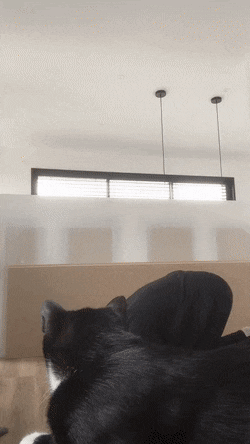 Stretching Is Good For Your Health