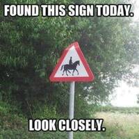 where is this barber shop video.html - 1 HD Video | Premium Gallery 2022