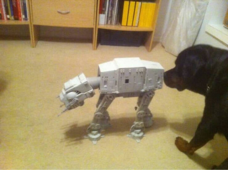 dirty means funny 44 pics 20.html - 44 HD Photos | Premium Gallery 2022