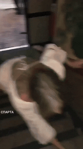 dirty minds only 42 gifs 3.html - 1 HD GIF | Premium Gallery 2022