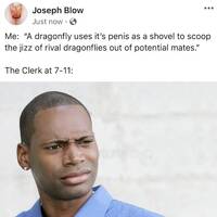 hot girls are here for you 42 gifs.html - 1 HD GIF | Premium Gallery 2022