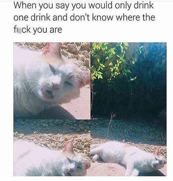 drinking again 38 pics 2 gifs 19.html - 38 HD GIF | Premium Gallery 2022