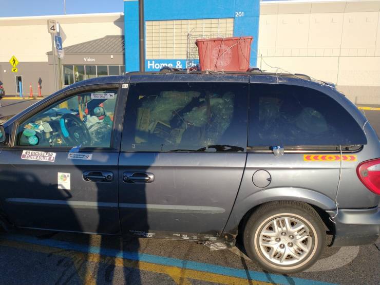 walmart is a wild place 44 pics 5.html - 44 HD Photos | Premium Gallery 2022