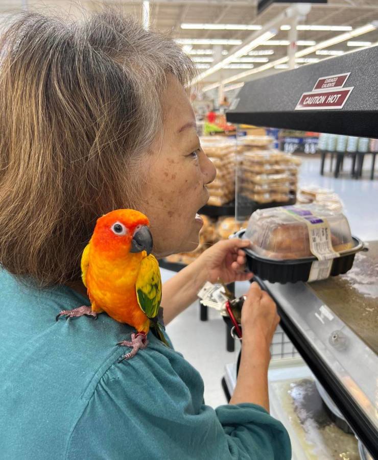 walmart is a wild place 44 pics 5.html - 44 HD Photos | Premium Gallery 2022