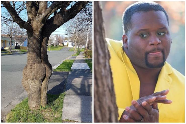 Just How Dirty Is Your Mind?