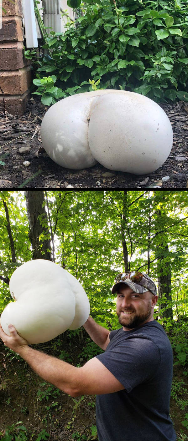 just how dirty is your mind 44 pics 4.html - 44 HD Photos | Premium Gallery 2022