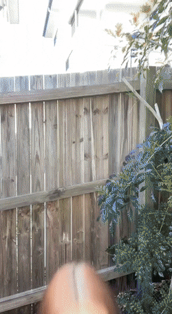 hot girls are here for you 42 gifs 2.html - 1 HD GIF | Premium Gallery 2022