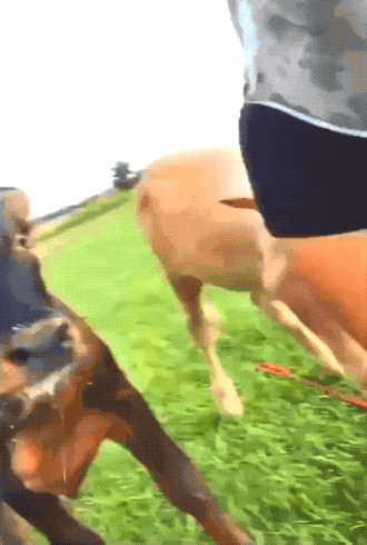 hot girls still fail 42 gifs 1.html - 1 HD GIF | Premium Gallery 2022