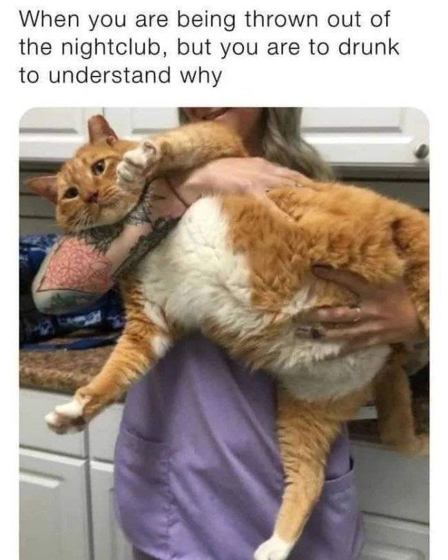 100 wasted 45 pics 12.html - 45 HD Photos | Premium Gallery 2022