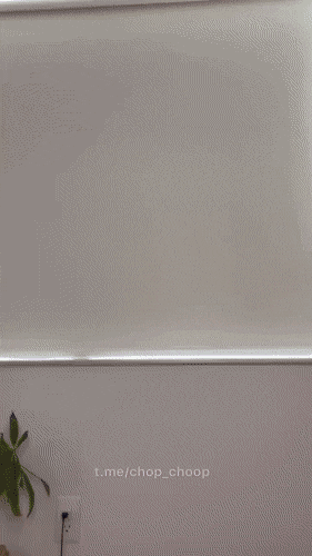 hot girls are here for you 42 gifs 2.html - 1 HD GIF | Premium Gallery 2022