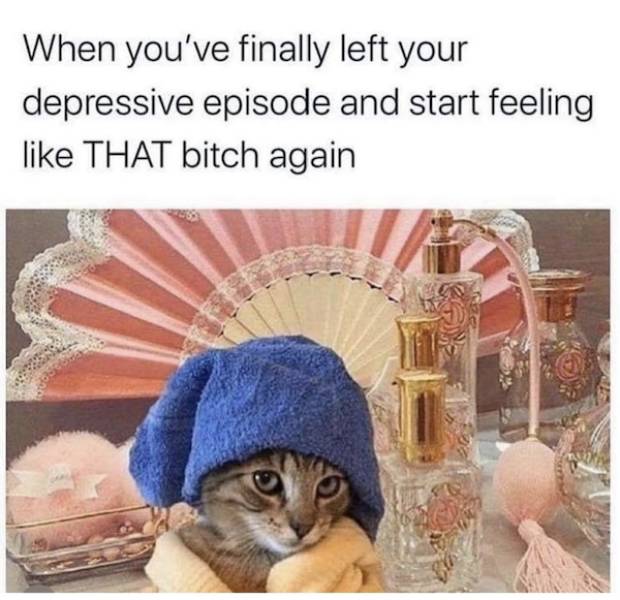 you know you like these nsfw memes 70 pics 16.html - 70 HD Photos | Premium Gallery 2022