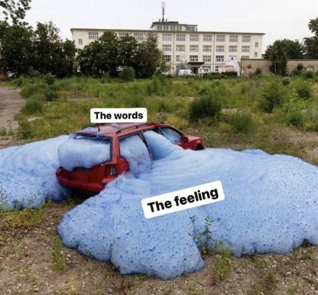 you know you like these nsfw memes 70 pics 16.html - 70 HD Photos | Premium Gallery 2022