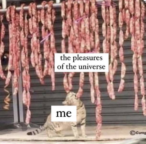 you know you like these nsfw memes 70 pics 16.html - 70 HD Photos | Premium Gallery 2022